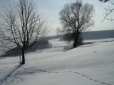 Bierberg - im Winter 02